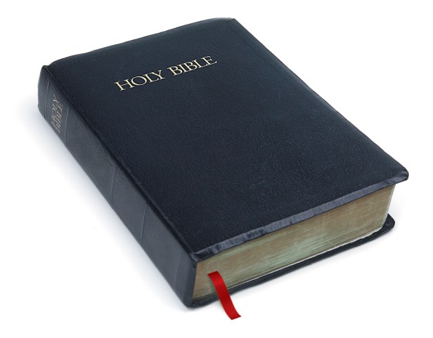 holy bible